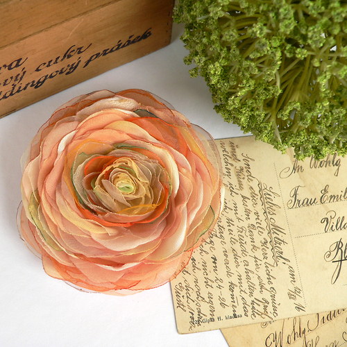 Where the wild roses grow — foto 2