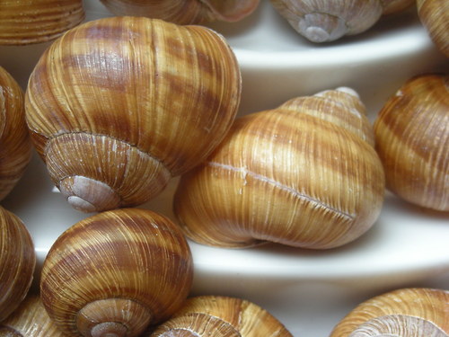 Ulity - malováno přírodou II. — foto 2