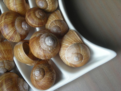 Ulity - malováno přírodou II. — foto 3