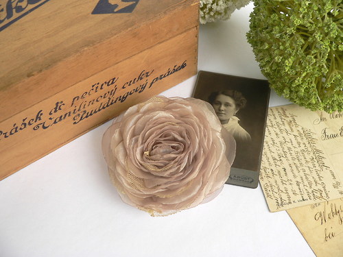 Where the wild roses grow — foto 2