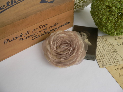 Where the wild roses grow — foto 3