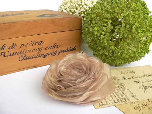 Where the wild roses grow — foto 4
