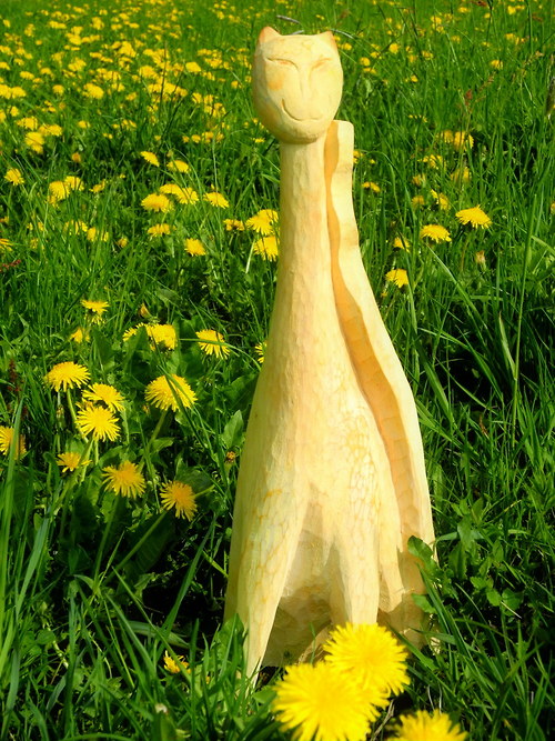 Kočkování 50 cm — foto 5