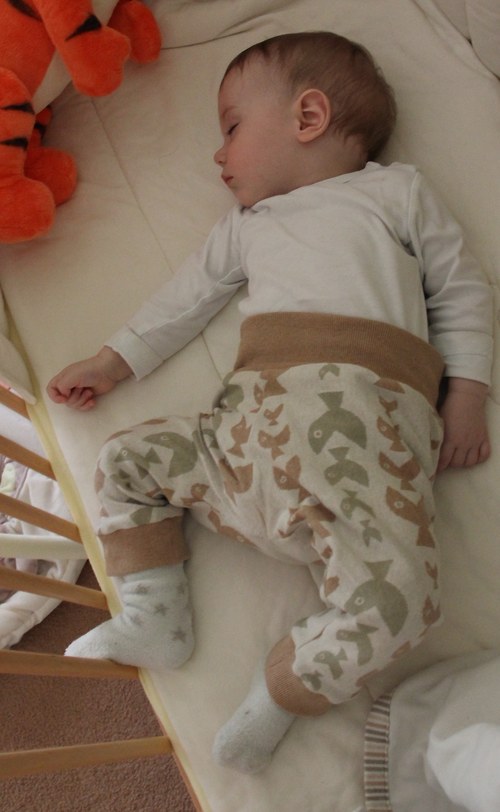 Kalhoty pro látkovky — foto 2