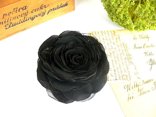Where the wild roses grow — foto 2
