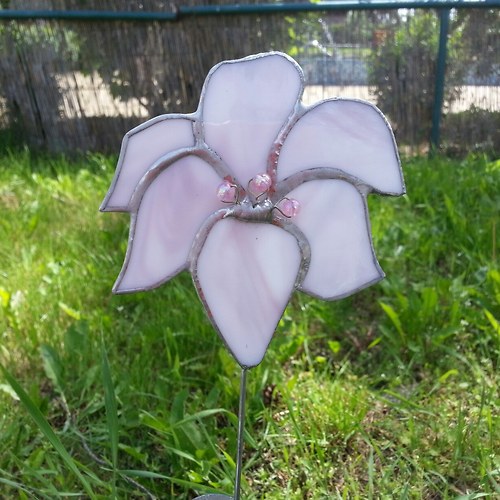 Lilie - 1 — foto 2