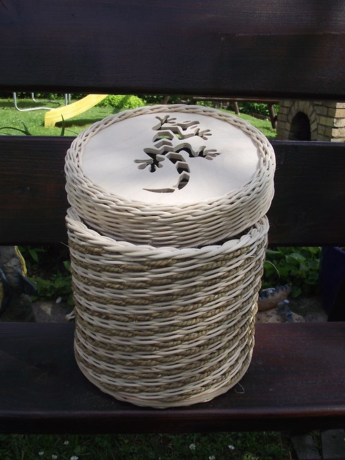 Ještěrka — foto 2