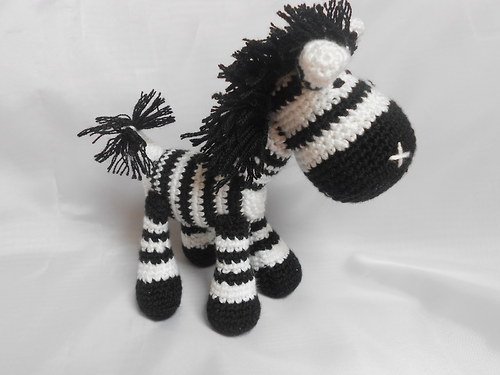 Háčkovaná zebra — foto 2