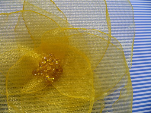 Trochu slunce — foto 3