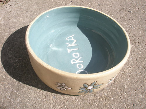 Hledá se Dorotka!! — foto 3