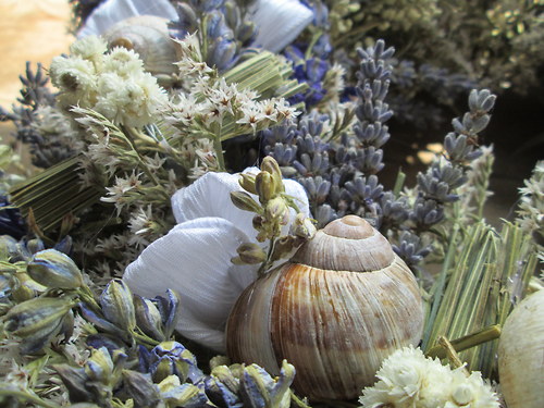 Štramák z Provence — foto 2