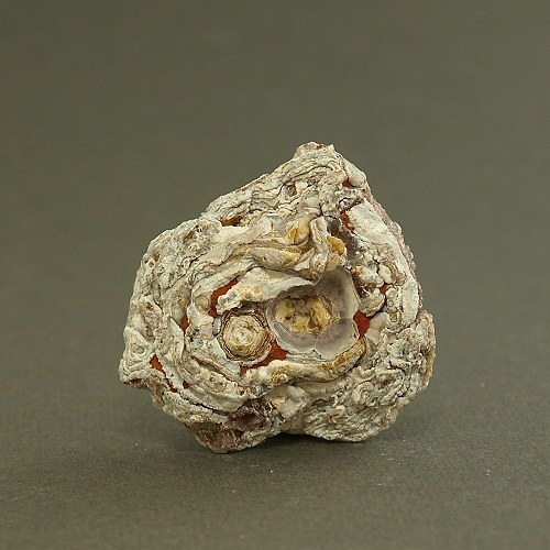 Chalcedon (kamenná růže) — foto 2