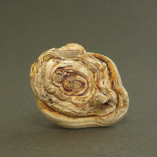 Chalcedon (kamenná růže) — foto 2