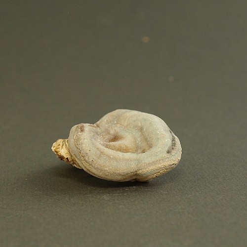 Chalcedon (kamenná růže) — foto 3