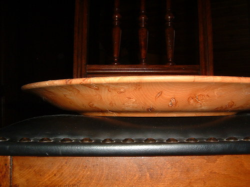 Očkatý tác — foto 3