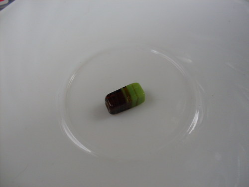 Vinutky-hnědozelené — foto 2