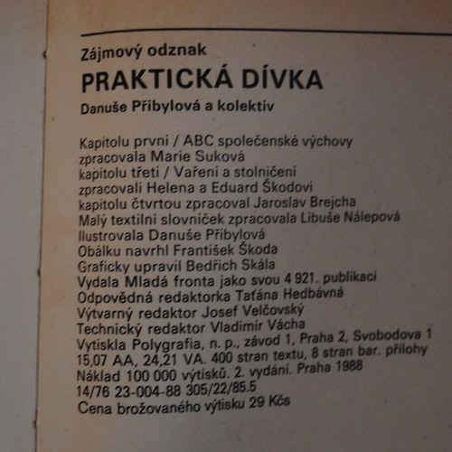 Praktická dívka — foto 3