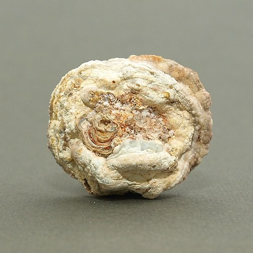 Chalcedon (kamenná růže) — foto 2