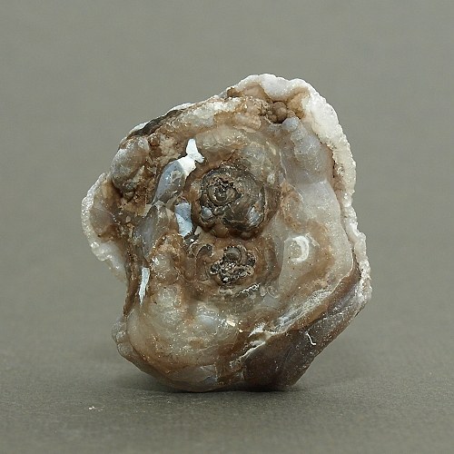 Chalcedon (kamenná růže) — foto 2