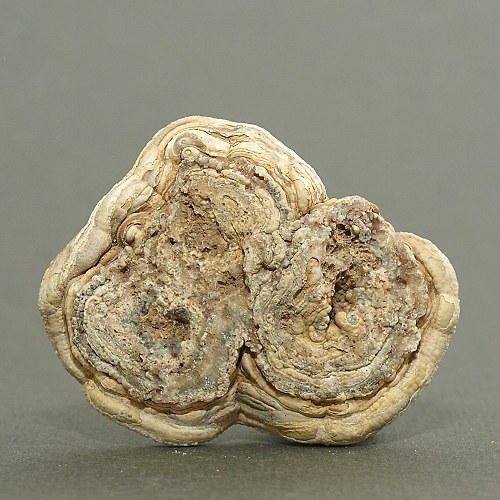Chalcedon (kamenná růže) — foto 2
