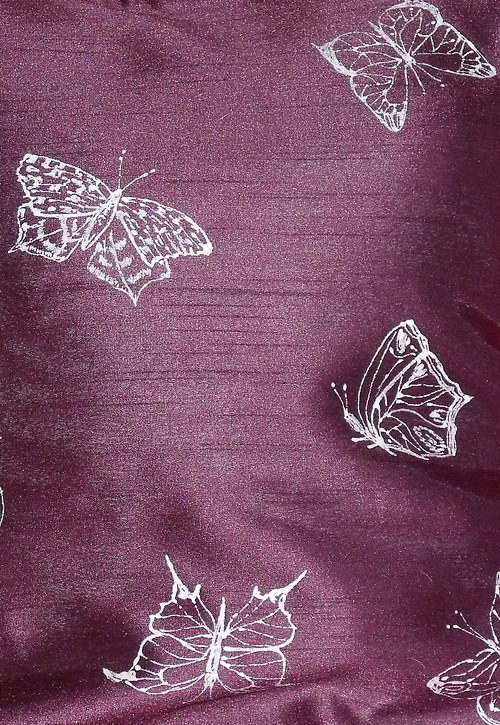 Motýlí čas — foto 2