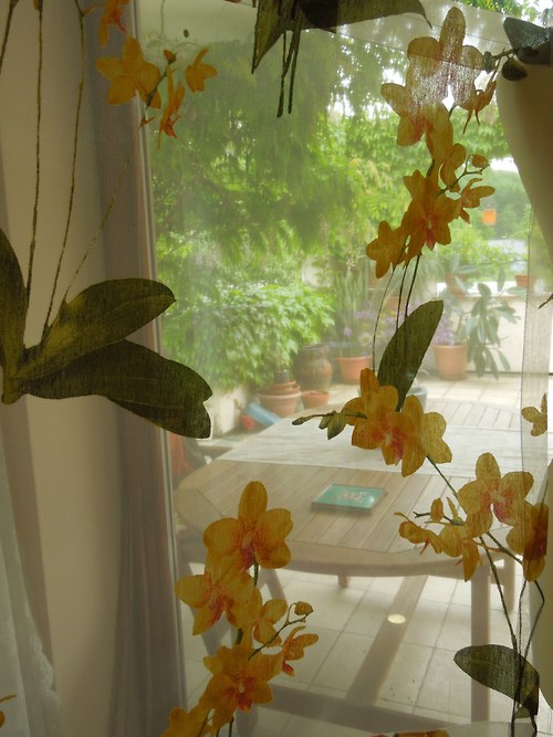 Záclonka-orchideje — foto 2