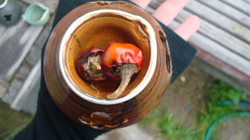 Lampička paprička — foto 5