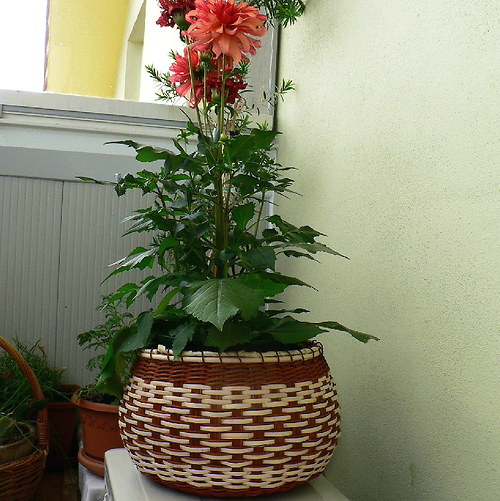 "Soudeček" — foto 3