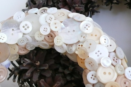 Věneček knoflíkový — foto 2