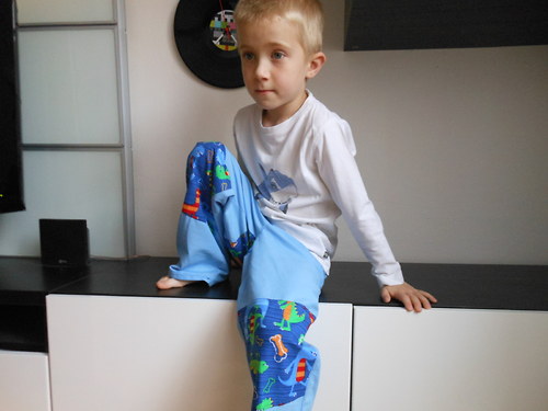 Dinosauří s "helikými" kapsami V — foto 3