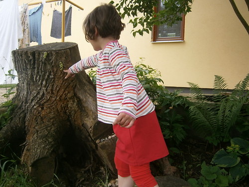 Pro Karkulku - s hračkami — foto 2
