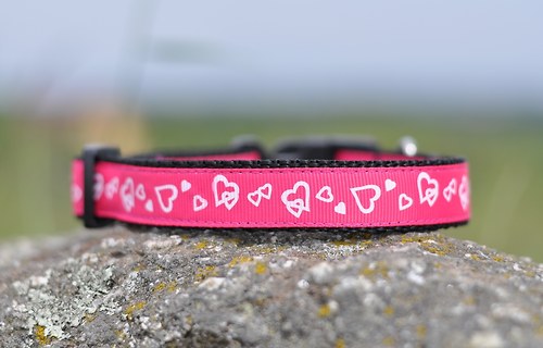 Srdíčkový obojek růžový 25 - 35 cm — foto 3