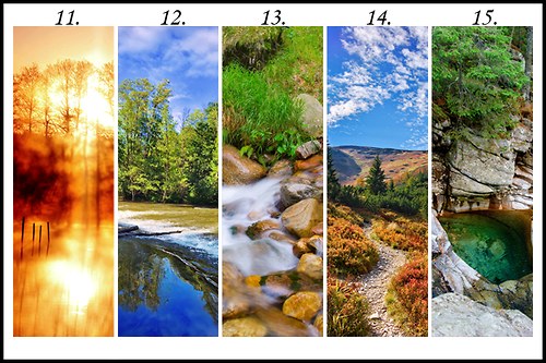 Sada záložek Nature mix 2 — foto 2
