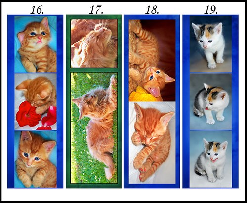 Sada záložek Cats — foto 2