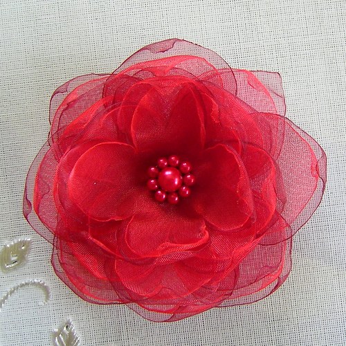 Red Hot flower — foto 2