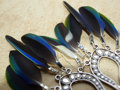 The Parrot Spectacle Earrings — foto 3
