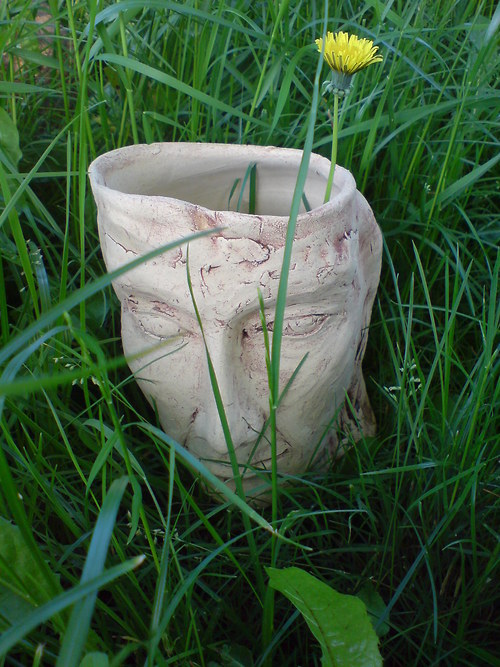 Zasněný — foto 3