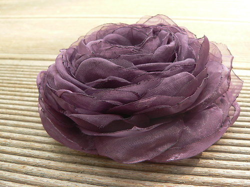 Where the wild roses grow — foto 2