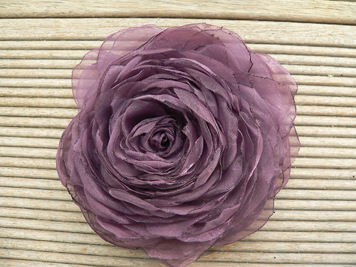 Where the wild roses grow — foto 3