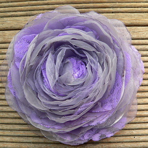 Where the wild roses grow — foto 3