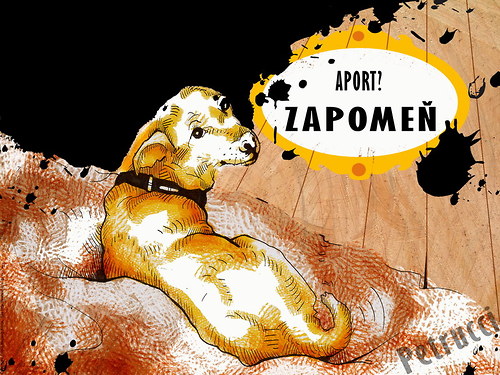 Aport+nášup A2 — foto 2