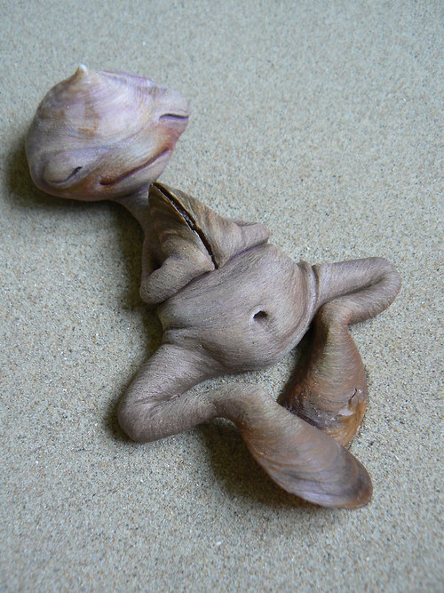 Modlilka pobřežní — foto 2