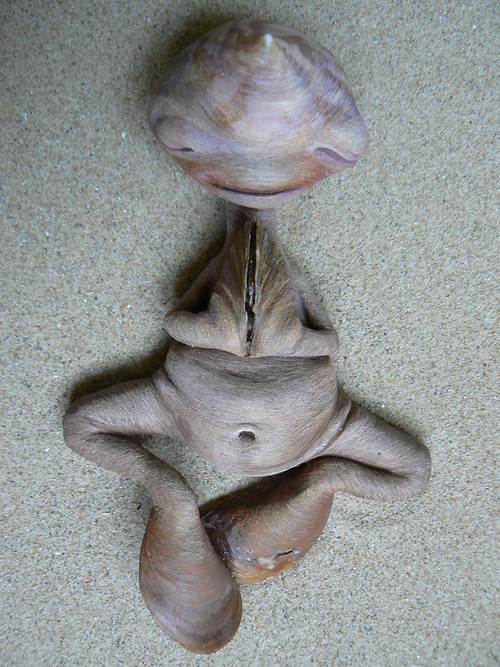 Modlilka pobřežní — foto 6