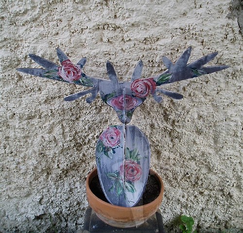 Paroží — foto 5