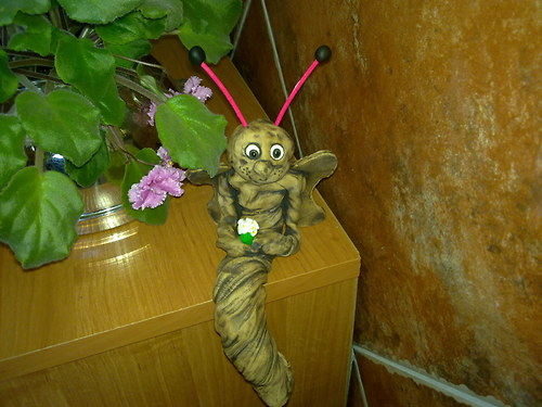 Čekající motýl — foto 2