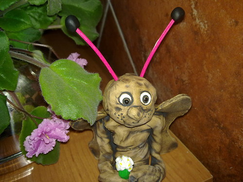 Čekající motýl — foto 3