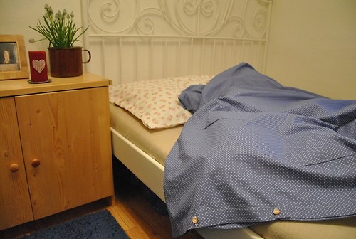 Kvítkopunťaté — foto 5