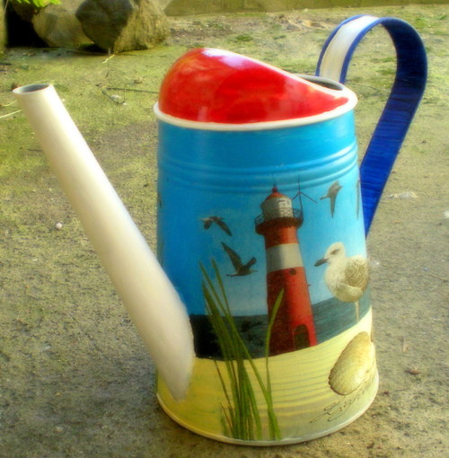 Racek! — foto 2