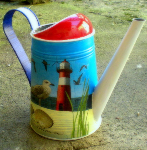 Racek! — foto 3