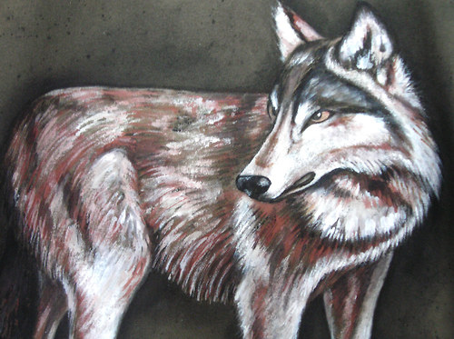 Wolf dámský, na objednávku — foto 3